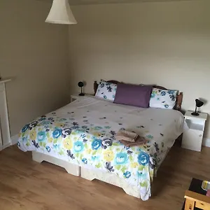 Dromin House Bed & Breakfast Killarney